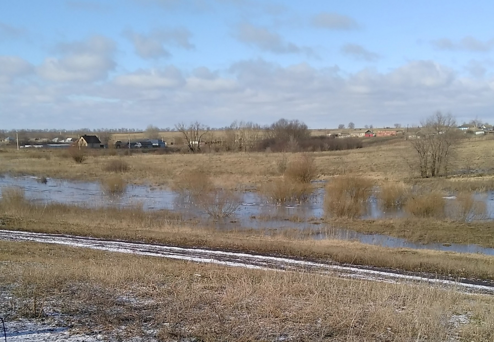 Речка ранней весной